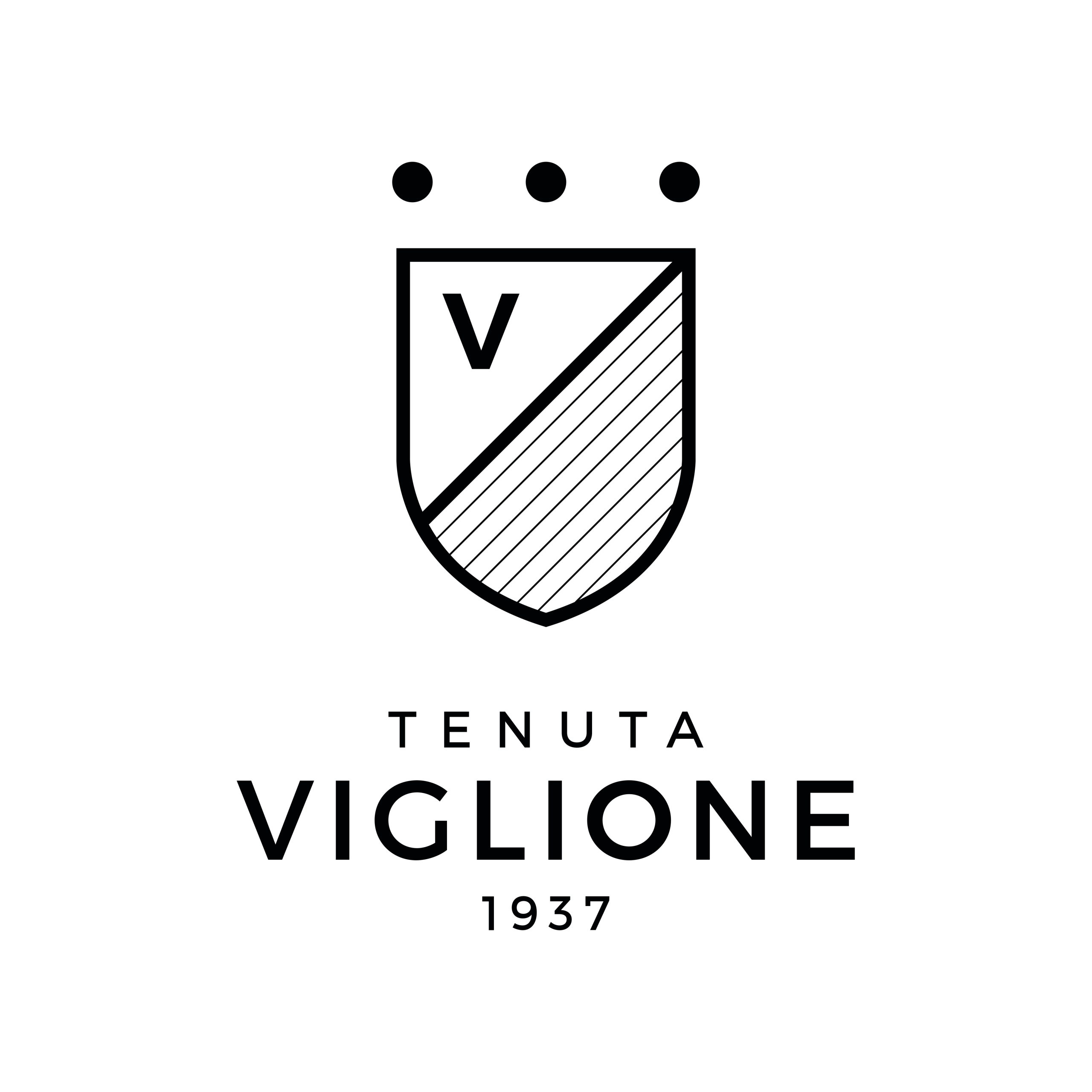 Tenuta_Viglione vettoriale_page-0001